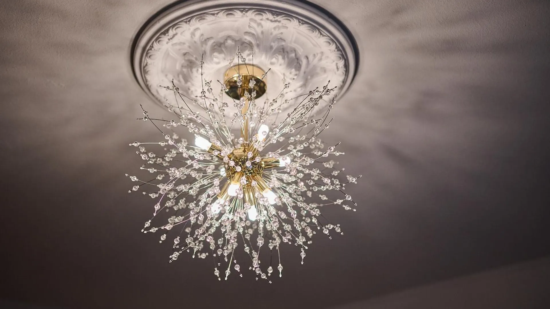 Apanoxa Homes I Zentral I Geschaefts- Und Monteurswohnung Straubing 0*,